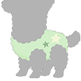 File:Green Alpacastar-B-Body.png