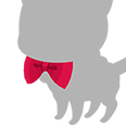 A-Red Bowtie.png