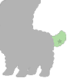 File:Green Alpacastar-T-Tail.png