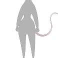 File:Bianca-A-Tail.png