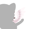A-Angel Wings.png