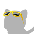 A-Cool Sunglasses.png