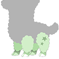 File:Green Alpacastar-L-Legs.png