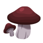 File:Forest Mushrooms KHX.png