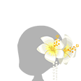 File:A-Hibiscus Hair Trinket-F.png