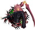 Marluxia: "A member of the real Organization XIII who was once defeated by Sora."