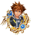 Sora: "A spirited boy chosen by the Keyblade to fight the Heartless."