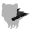 Halloween Crow-A-Wings-P.png