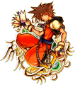 Sora: "A spirited boy chosen by the Keyblade to fight the Heartless."