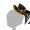 Halloween Crow-A-Hat-F.png