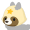 Yellow Coonstar-H-Head.png